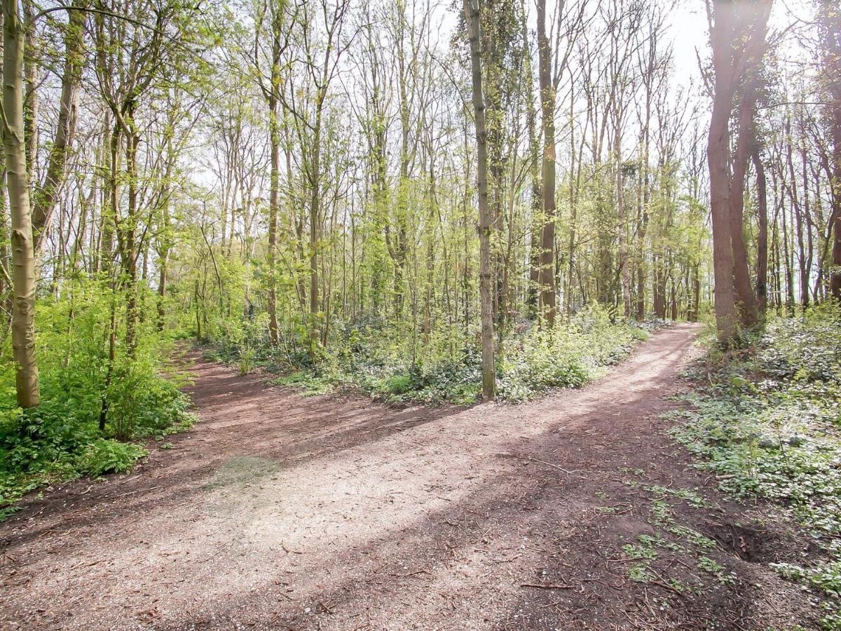 Lovely Bungalow In Noordwijkerhout With Garden Zewnętrze zdjęcie